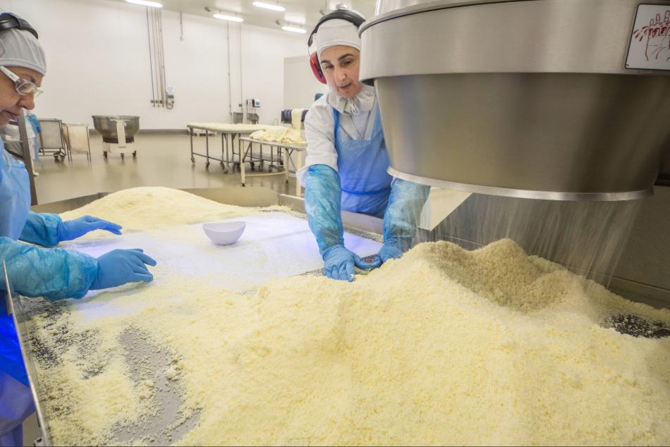 Ralação Queijo _ site